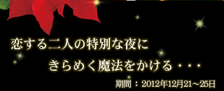 恋する二人の特別な夜にきらめく魔法をかける・・・